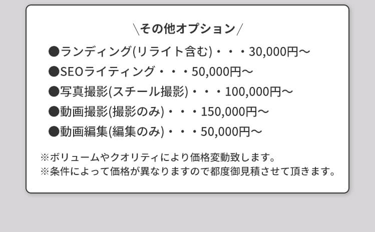 その他オプション